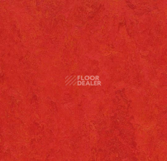 Линолеум Forbo Marmoleum Decibel on Order 313135 scarlet фото 1 | FLOORDEALER